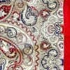 Wyoming Traders Paisley Wild Rag Scarf