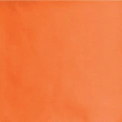 Wyoming Traders Solid Silk Wild Rag Scarf - Orange